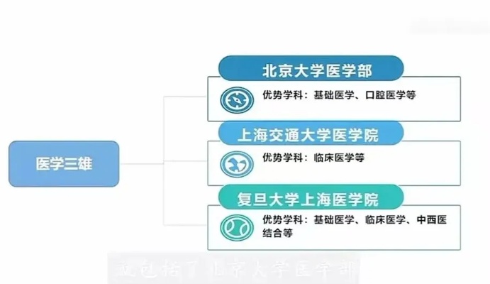 想学医报考什么大学的长尾关键词有什么