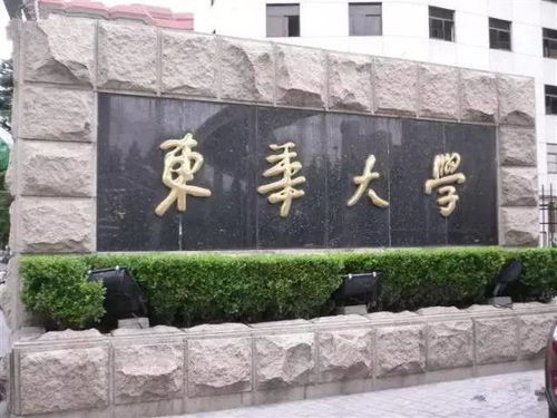 东华大学王牌专业的长尾关键词有什么