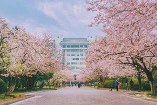 南京林业大学附近酒店预订的长尾关键词有什么