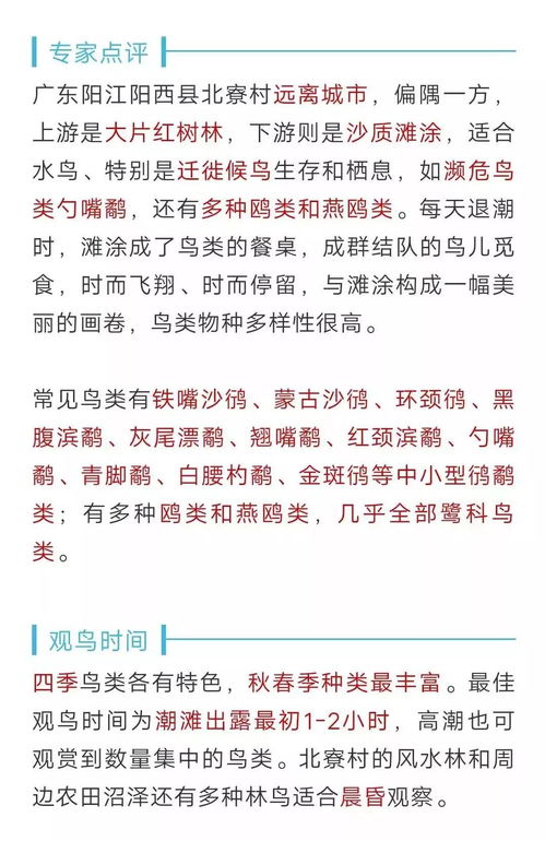 大学生实习评价的长尾关键词有什么