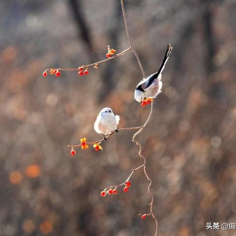 华东师范大学开学的长尾关键词有什么