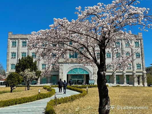 韩国国立全北大学的长尾关键词有什么