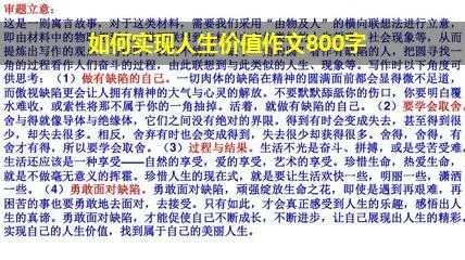 大学生要如何实现人生价值的论文