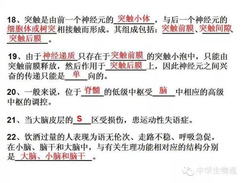 生物大学的长尾关键词有什么