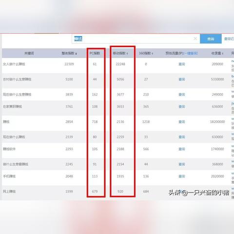 上海大学研究生院的长尾关键词有什么