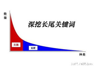 得到大学的长尾关键词有哪些