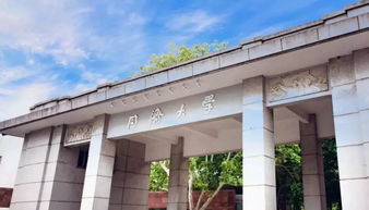 同济大学和中山大学的长尾关键词有什么