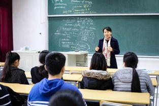 大学毕业后留校任教的条件？