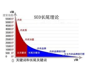 981大学是什么意思的长尾关键词有什么