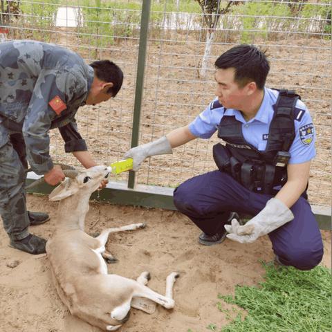 报考公安大学的条件的长尾关键词有哪些