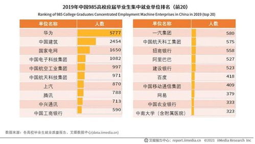 近年大学生就业率的长尾关键词有什么