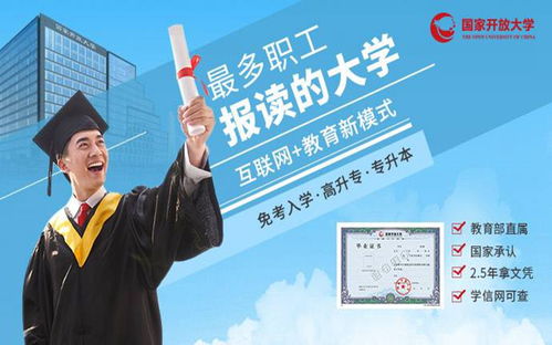 东华大学博士招生的长尾关键词有什么