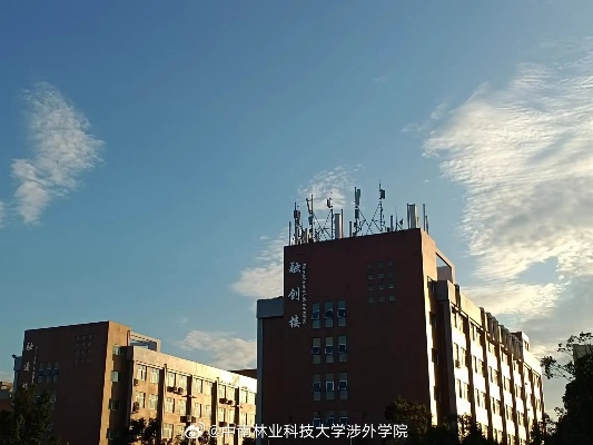 林业科技大学涉外学院的长尾关键词有什么