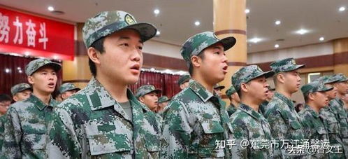 大学生为什么要当兵的长尾关键词有什么