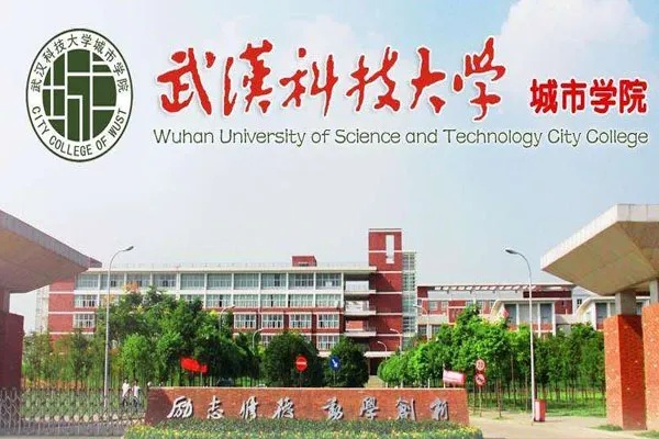 武汉科技大学城市学院专升本的长尾关键词有什么