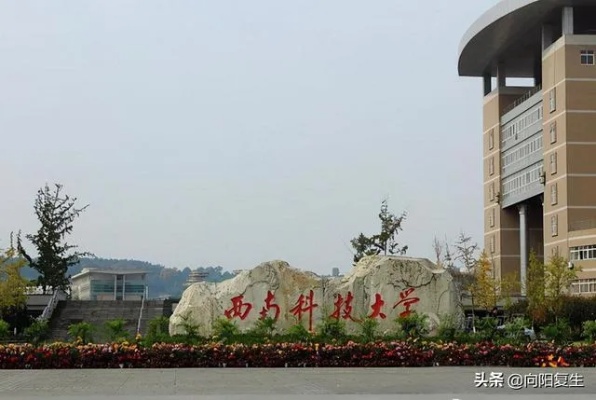 西南科技大学专业的长尾关键词有什么