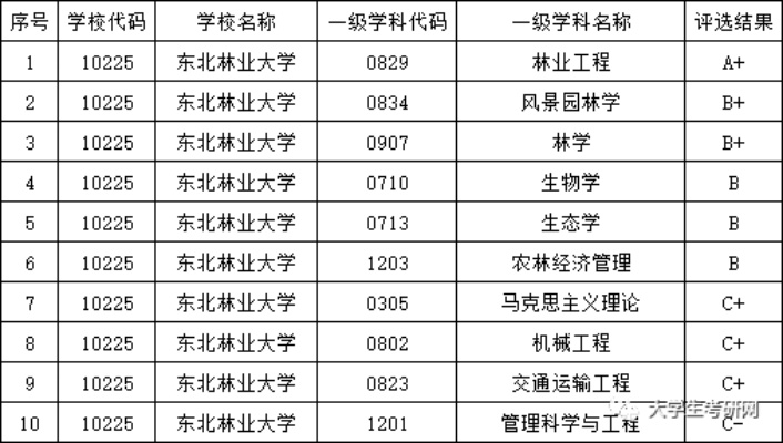 东北林业大学考研专业目录的长尾关键词有什么