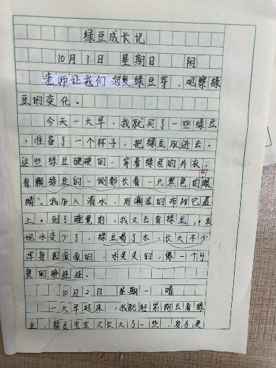 观察日记大学的长尾关键词有什么