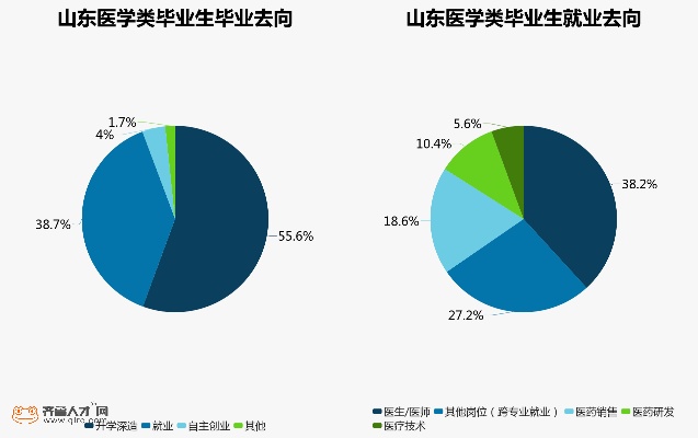 山东大学就业网的长尾关键词有什么