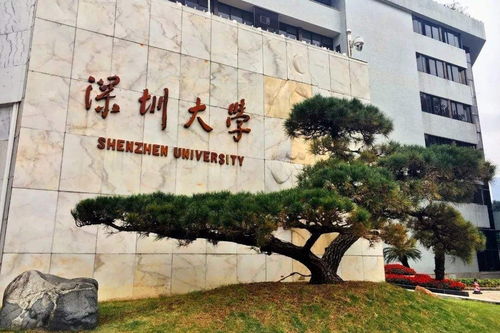 福建仰恩大学的长尾关键词有什么